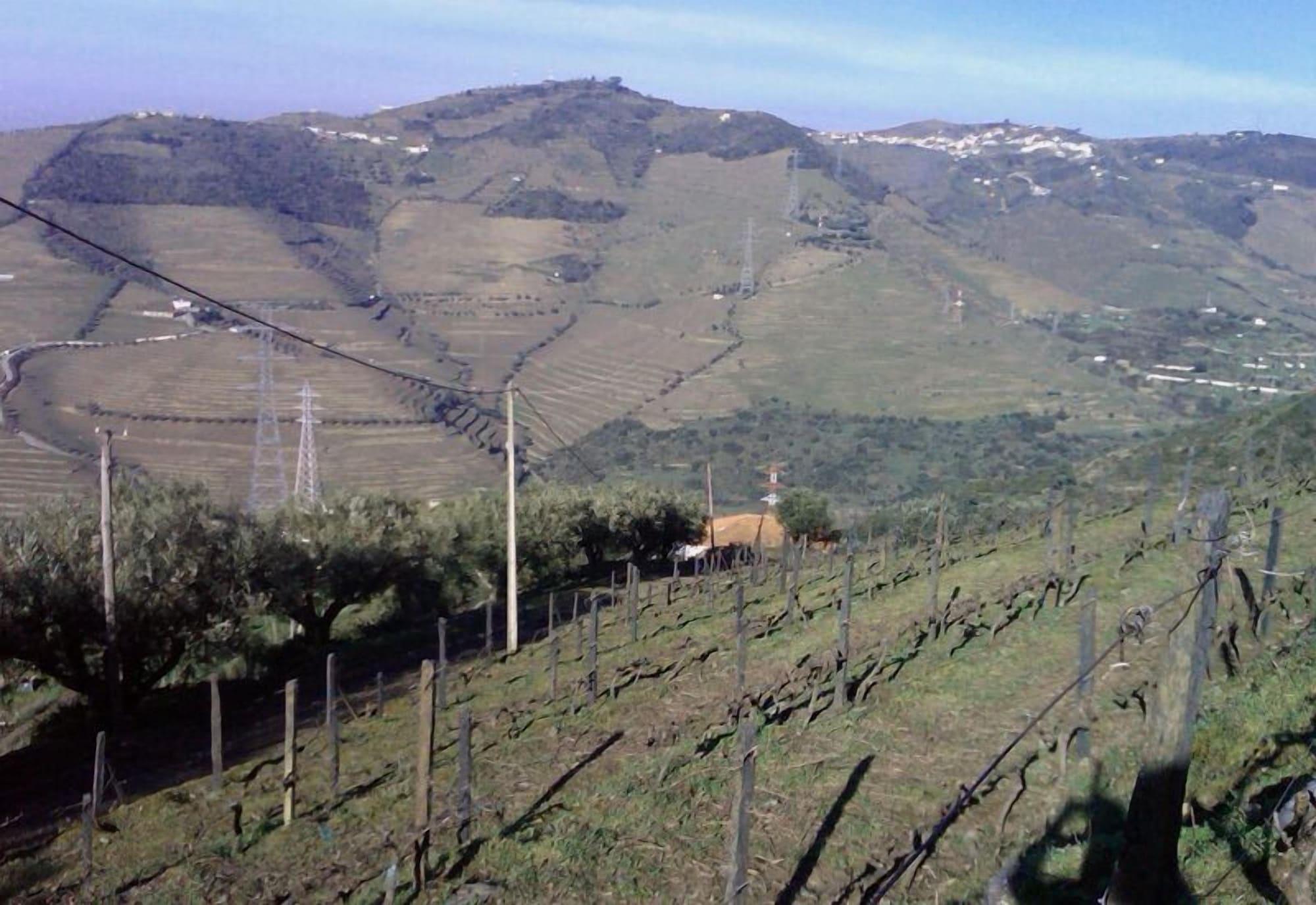 Quinta De Casaldronho Wine Hotel Lamego Zewnętrze zdjęcie