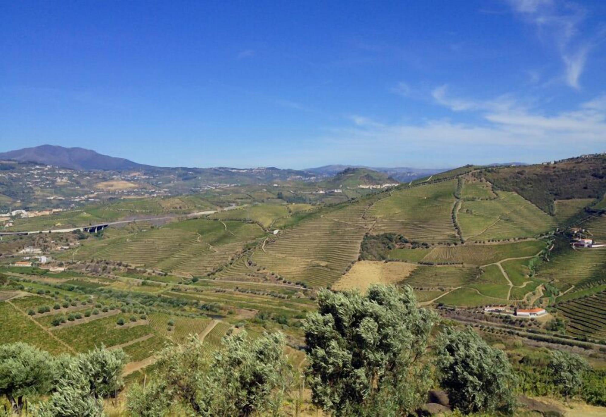 Quinta De Casaldronho Wine Hotel Lamego Zewnętrze zdjęcie